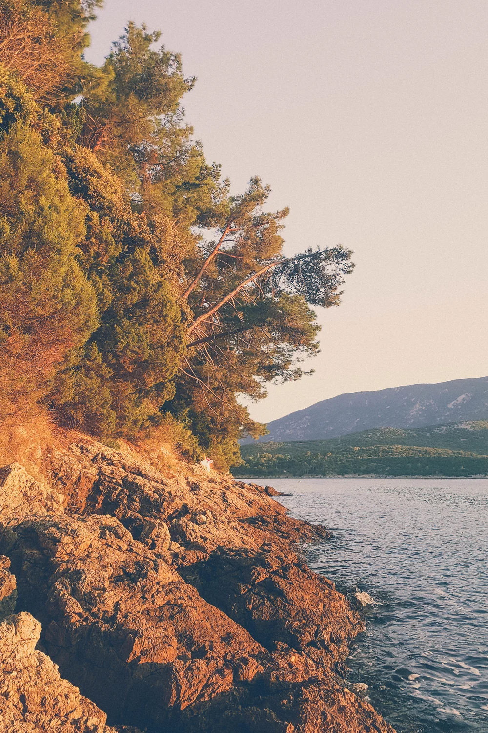 Rocky coast by Camping Bijar, Cres