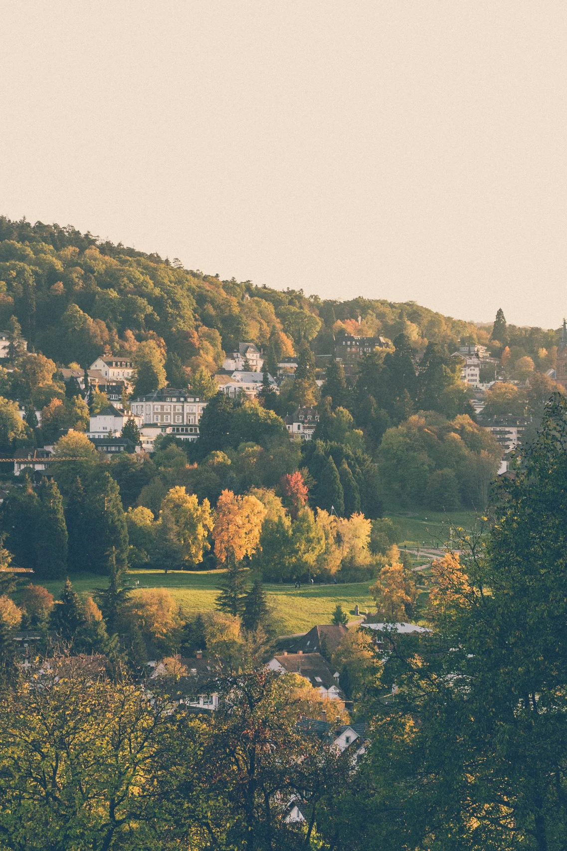 The view of Badenweiler