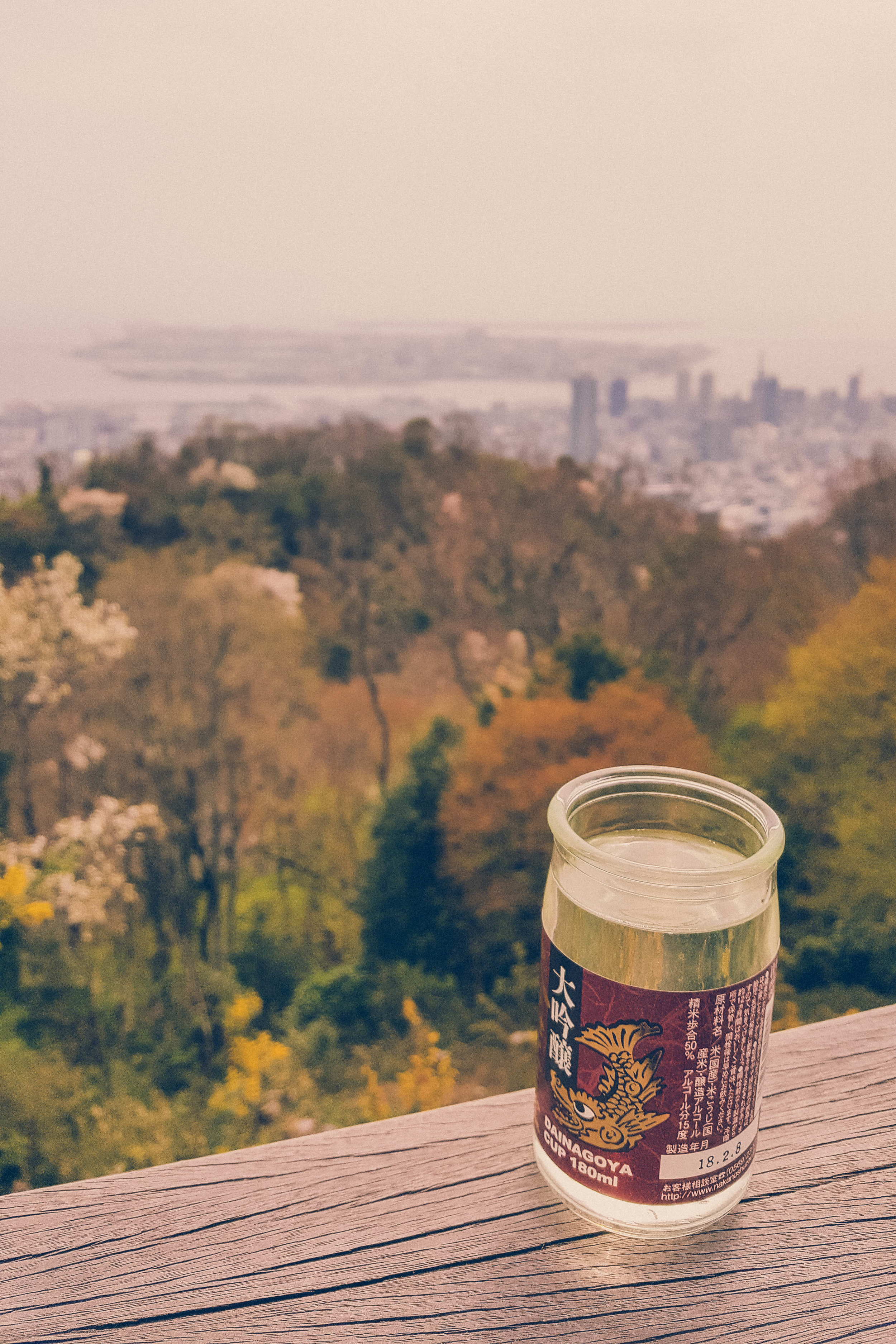 Sake with a view of Kobe, Japan