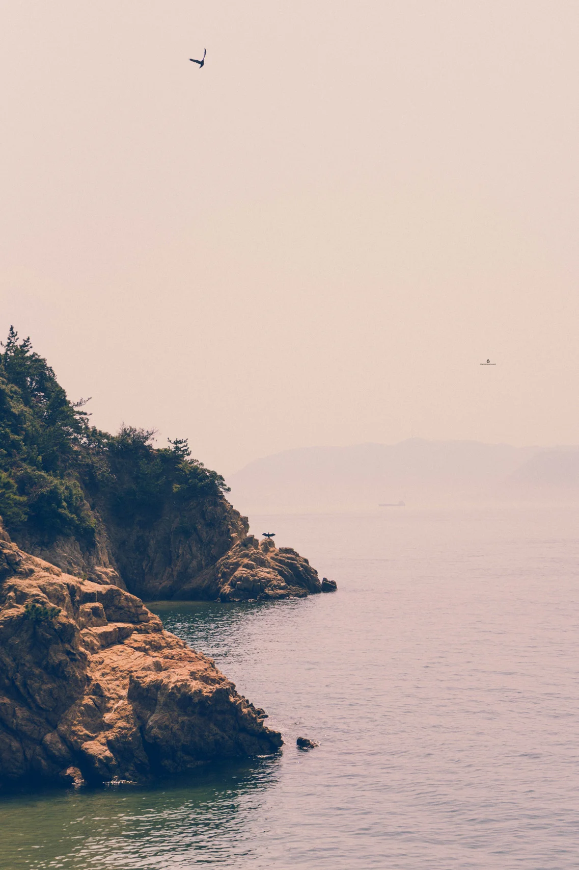 Coast on Naoshima island