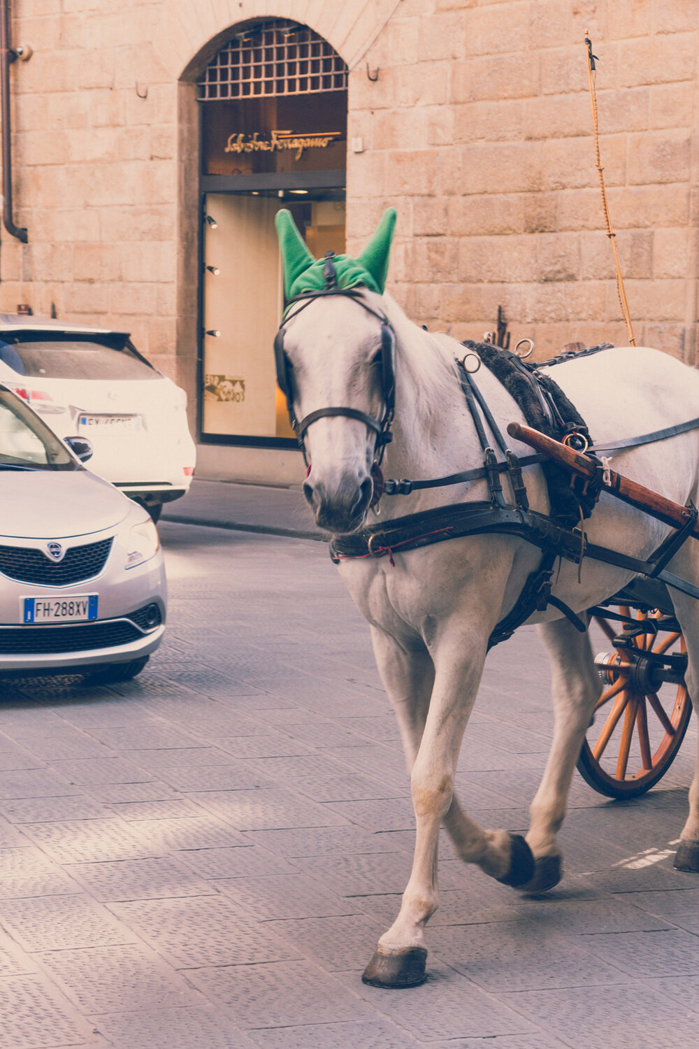 Florence, on the street