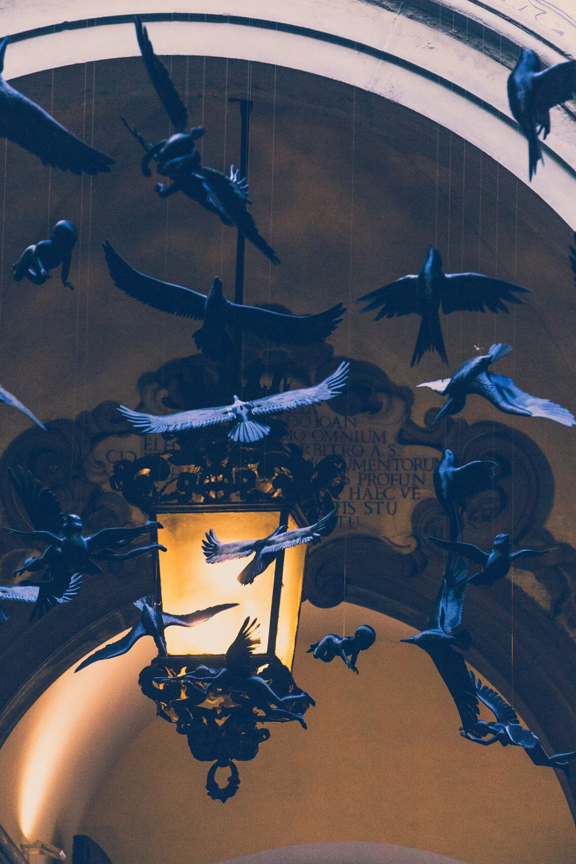 Palazzo Medici Riccardi birds installation