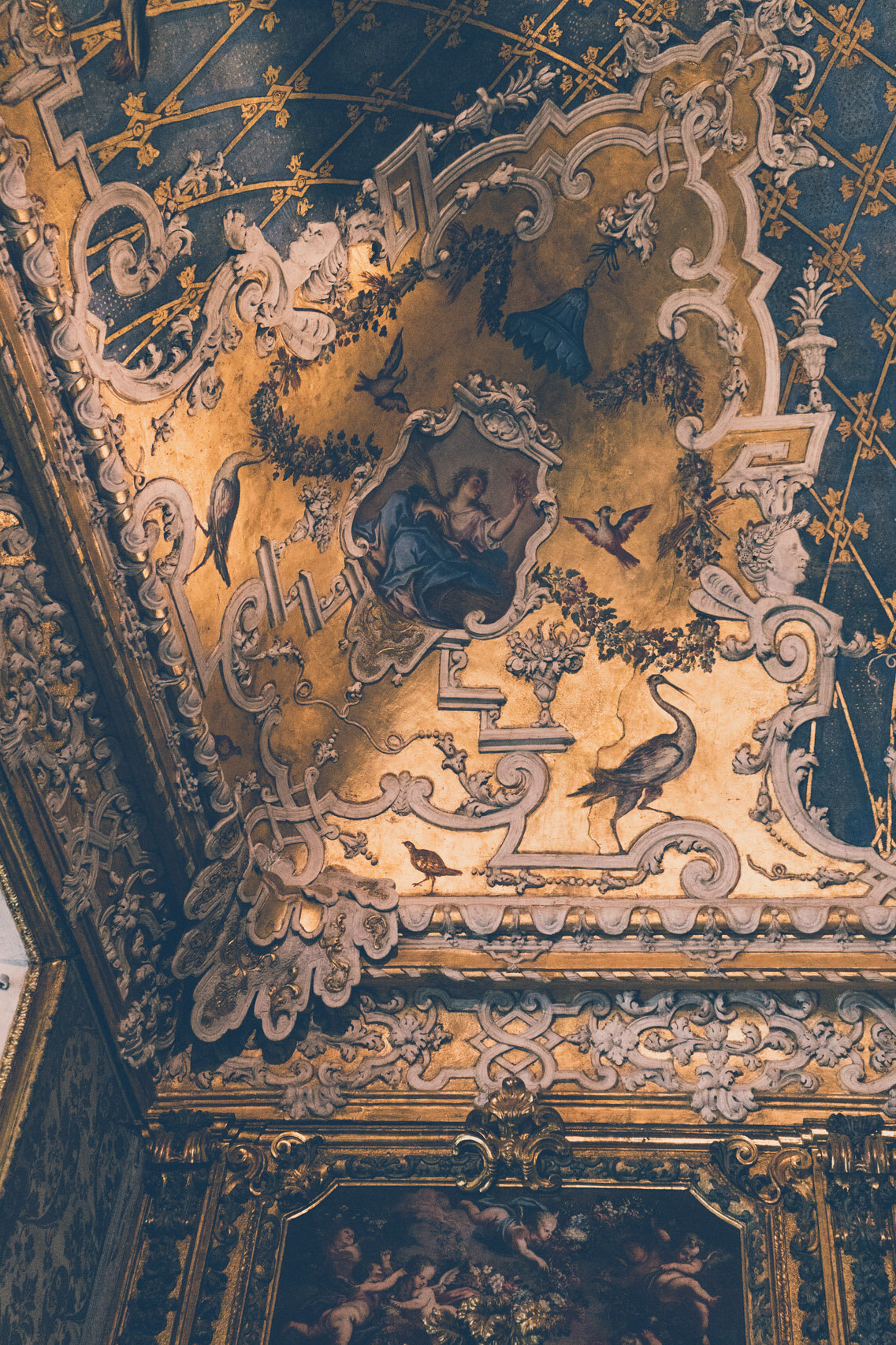 Vault ornaments at Palazzo Madama, Turin
