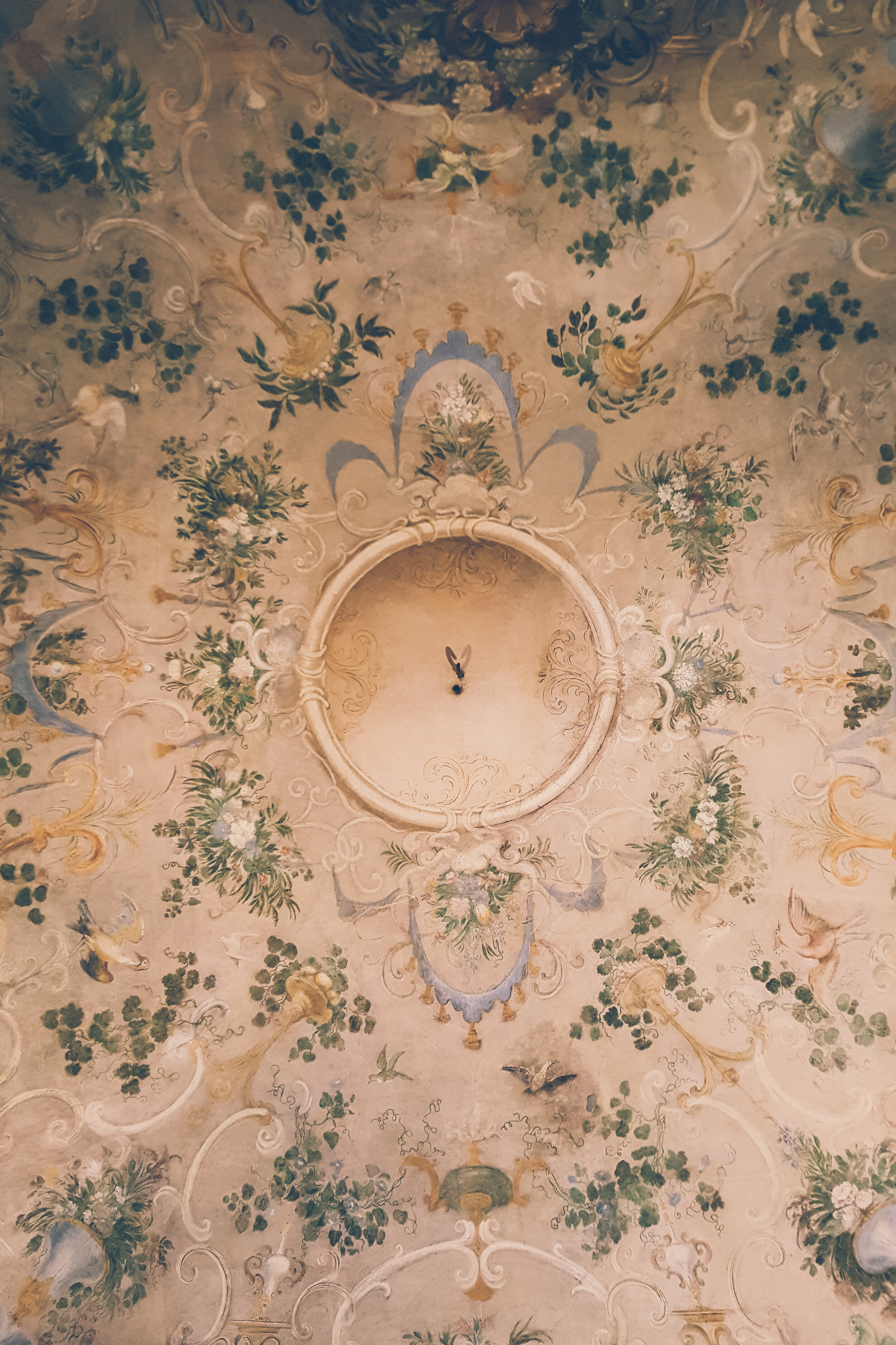 Ceiling paintings at Palazzo Madama, Turin