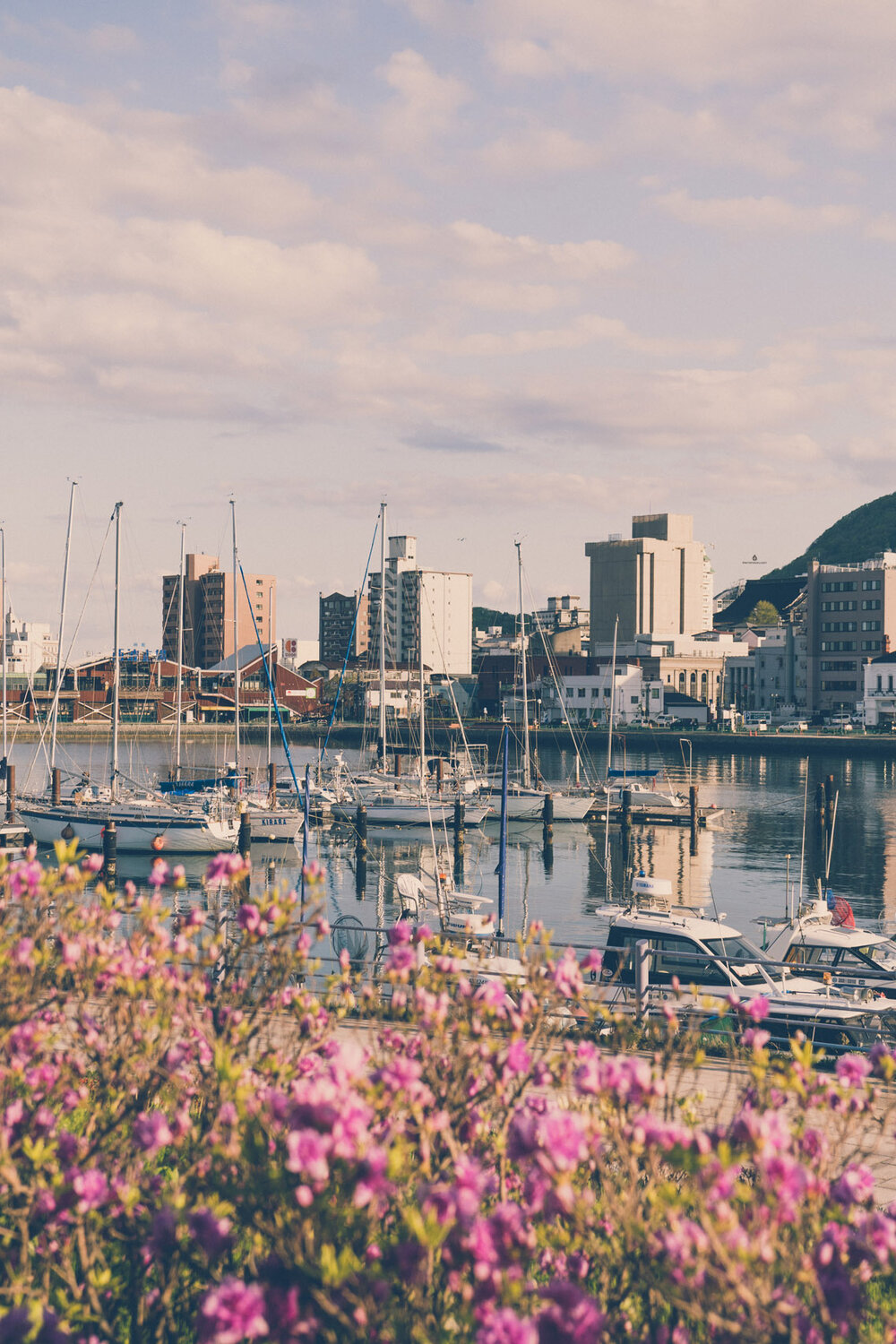 View of Hakodate