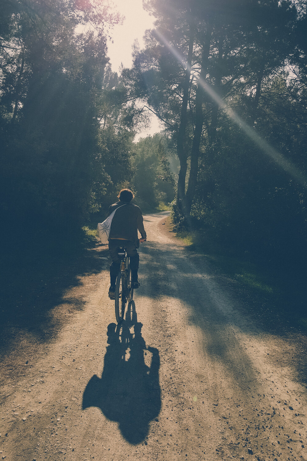 Cycling on Upper Kamenjak