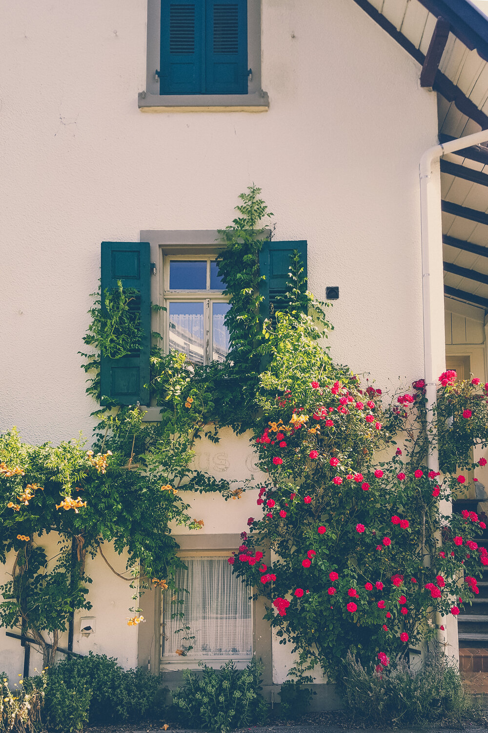 Flowery facades of Badenweiler, Germany