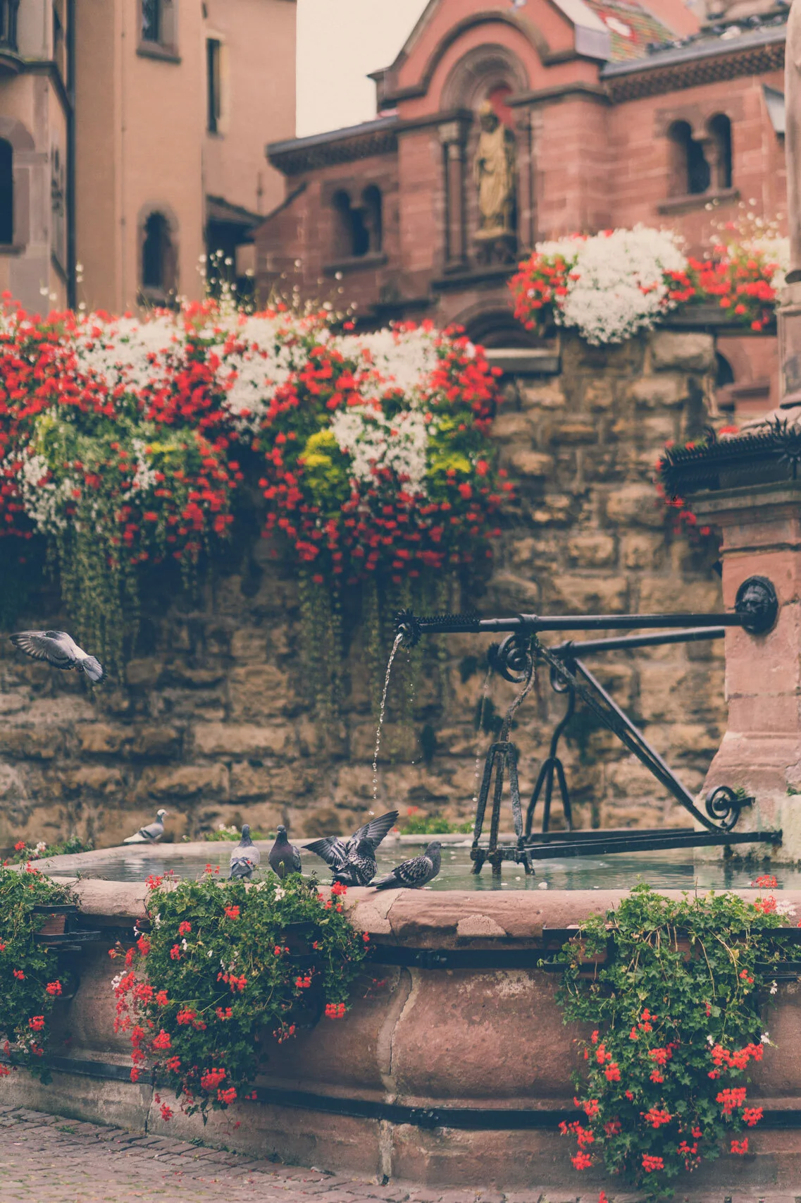 Flowers on Saint Leon Square, Eguisheim
