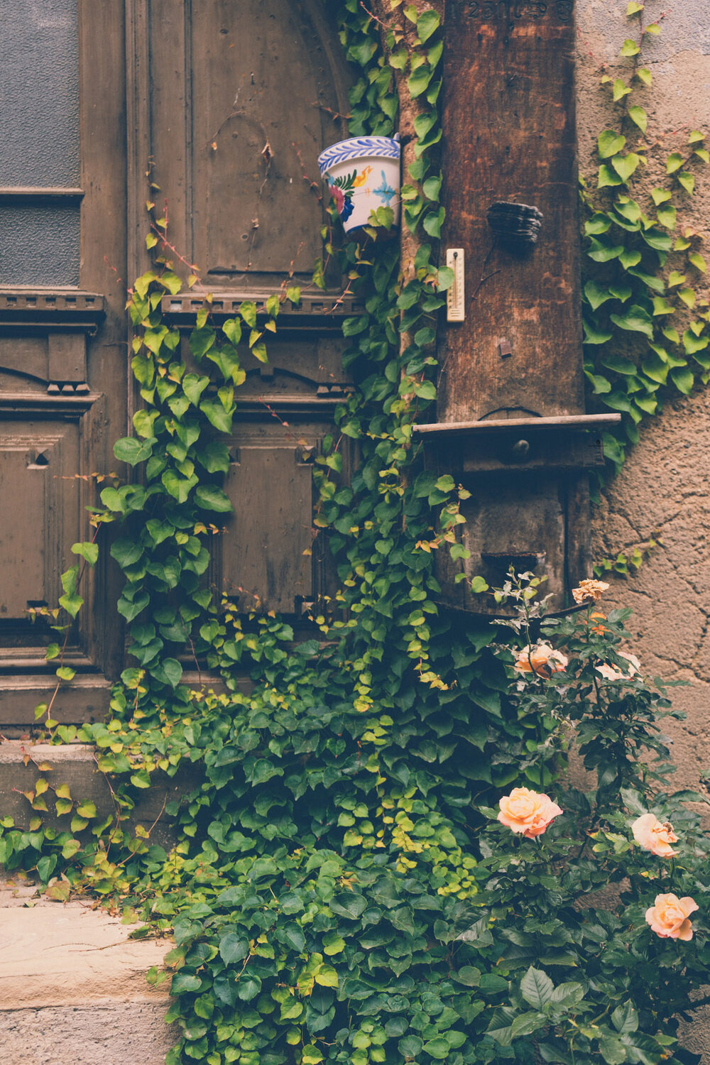 Ivy-clad door in Eguisheim