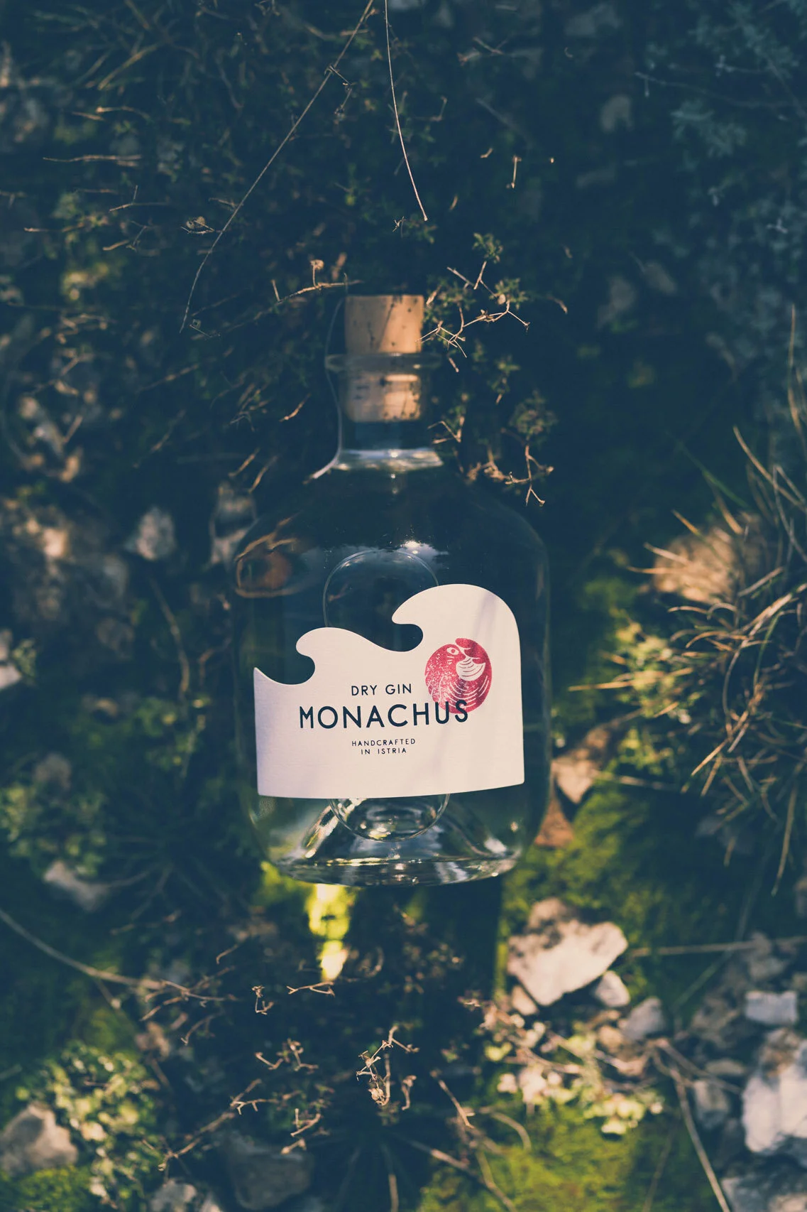 Monachus Gin