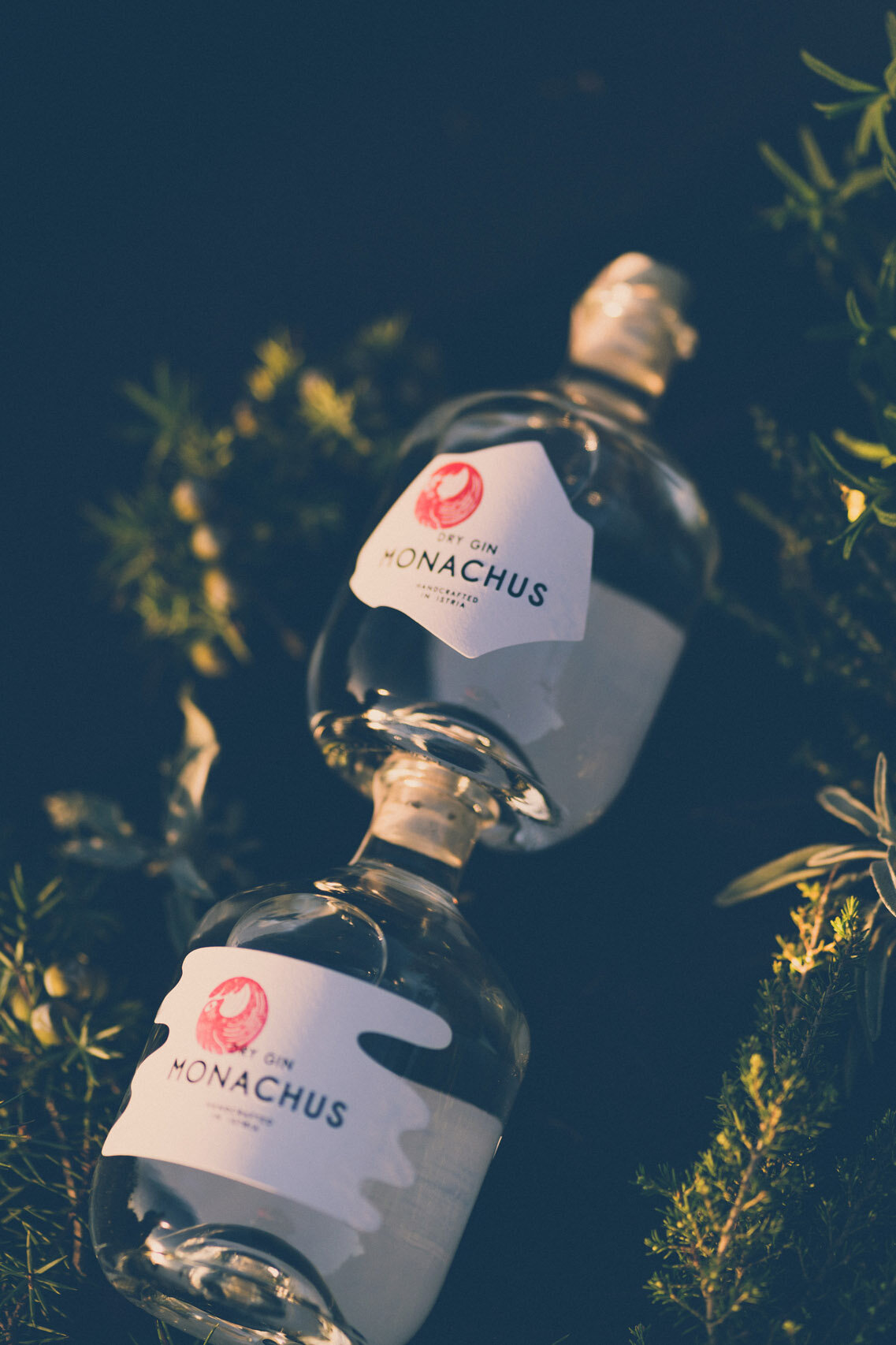 Monachus Gin