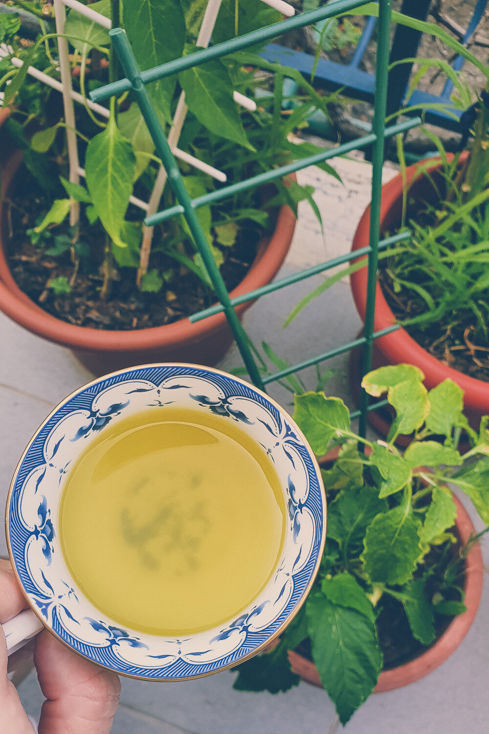 Tea at our terrace