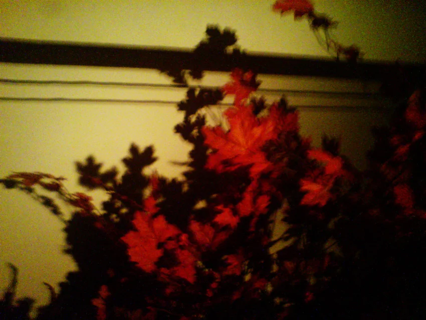 peeks 01_03