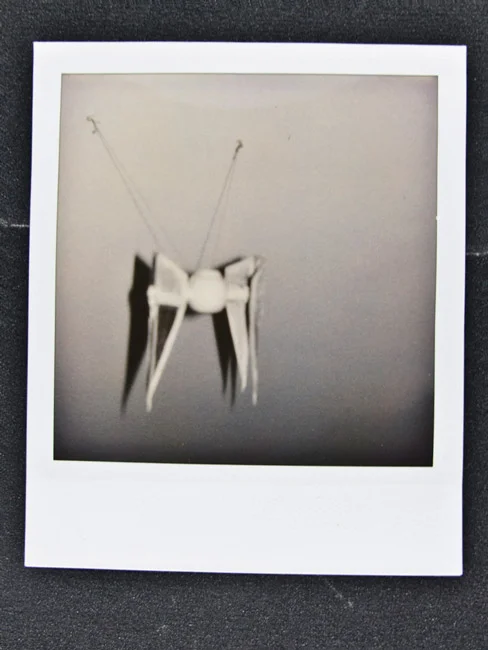 Polaroid Greens