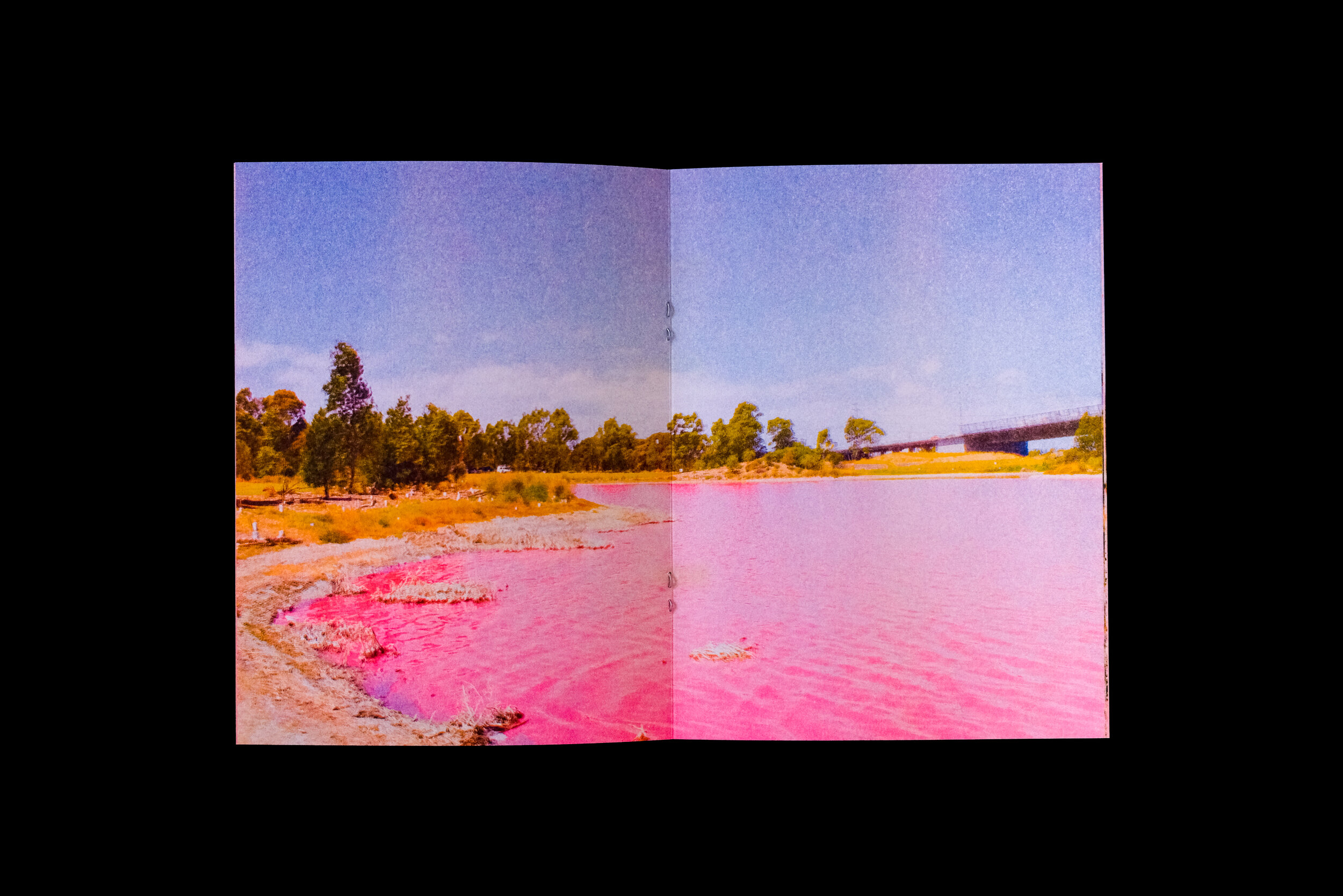 PinkLake09.jpg