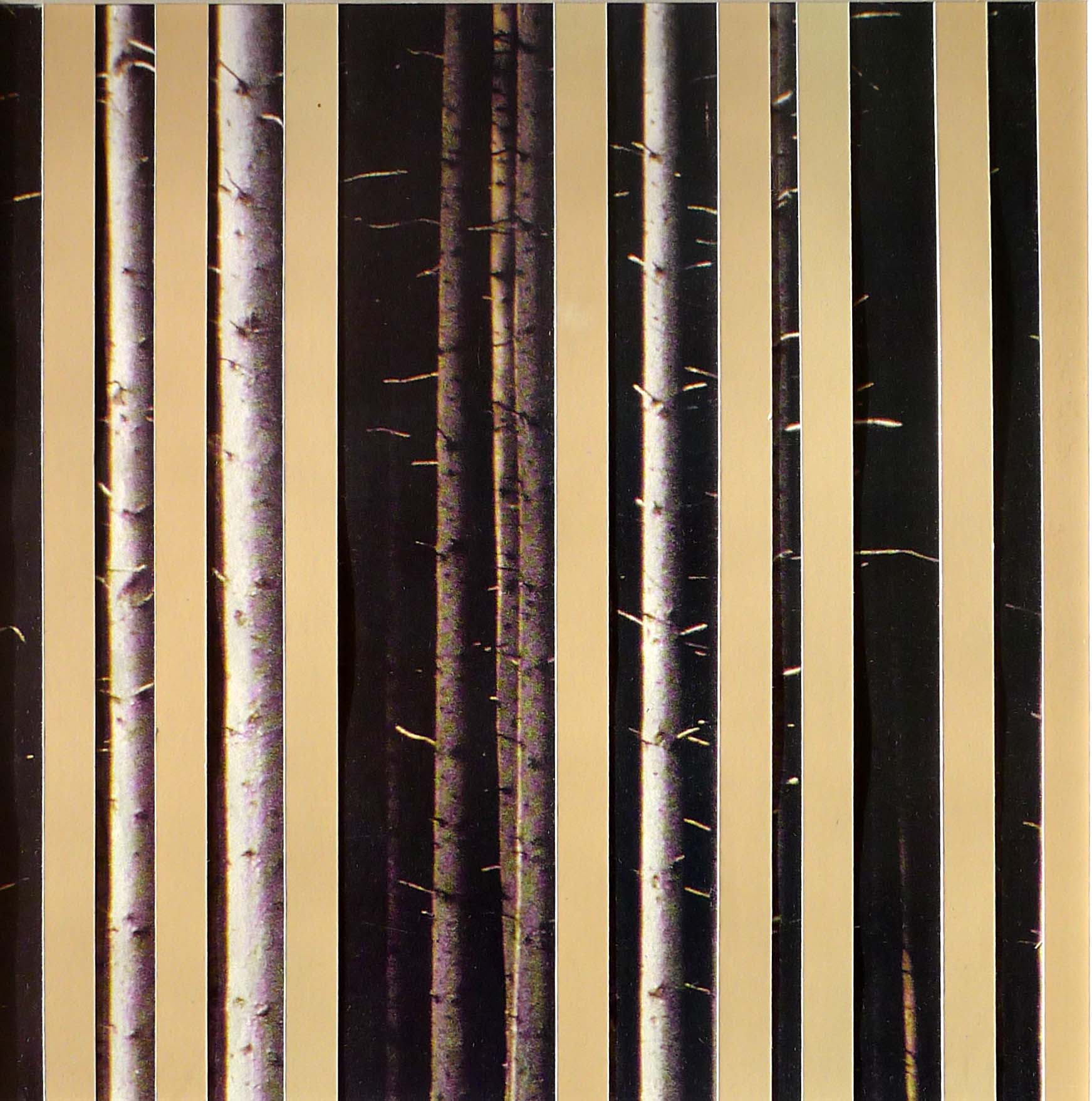  Berken, 2012 (20,5cm x 20,5cm)