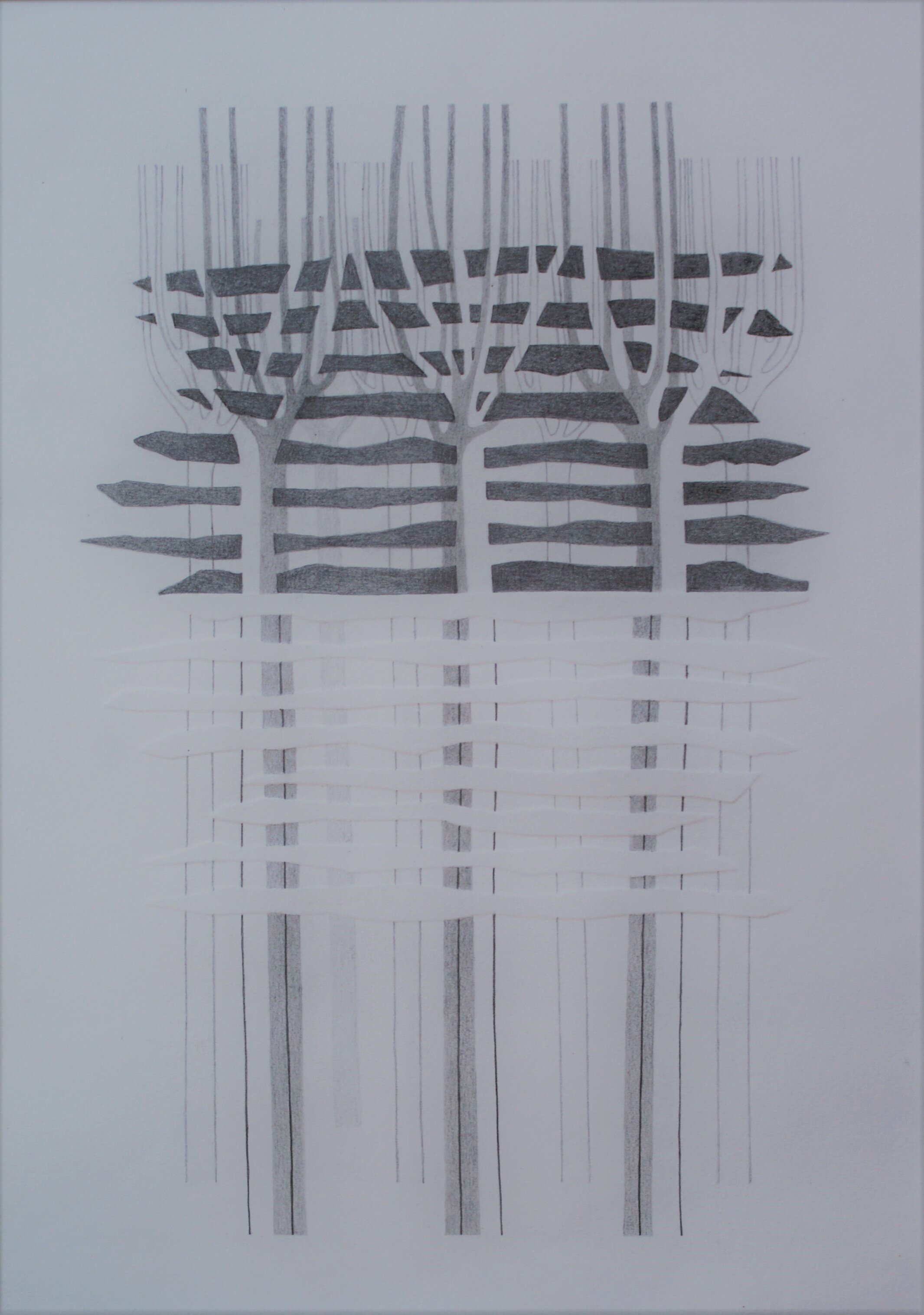 Bomen, 2020 (blinddruk, potlood) 33 cm x 47,5 cm