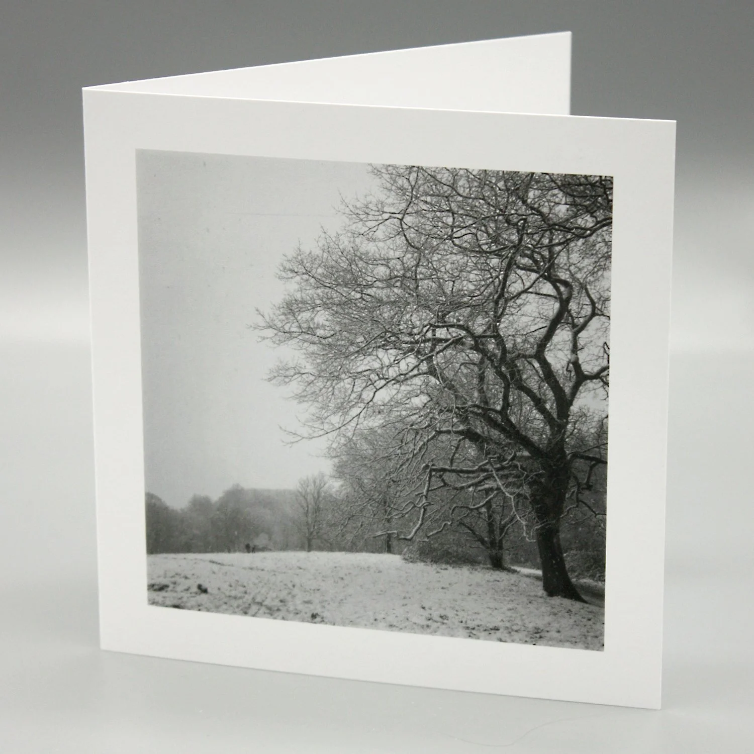 Snow on Hampstead Heath