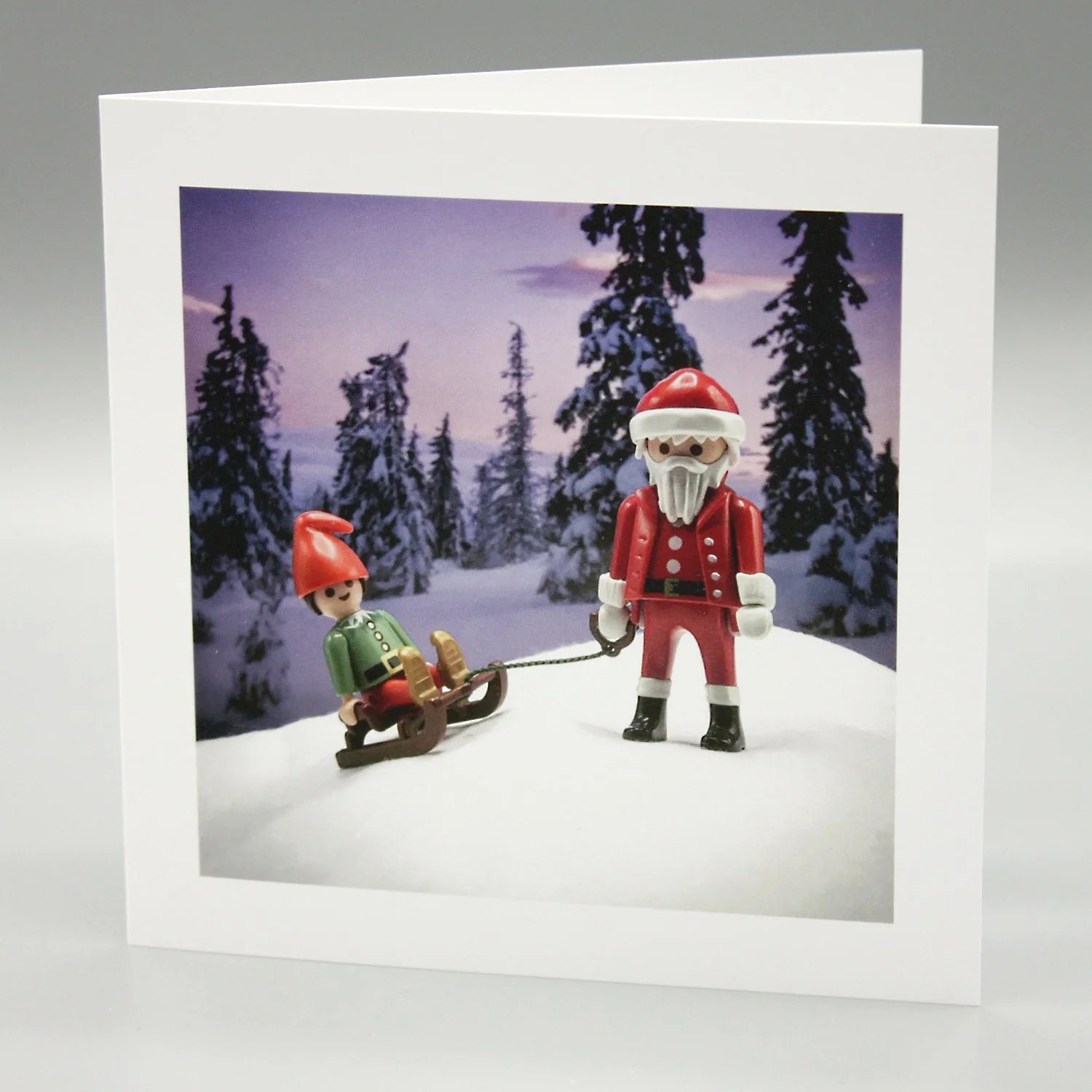 Santa and Elf go Sledging!