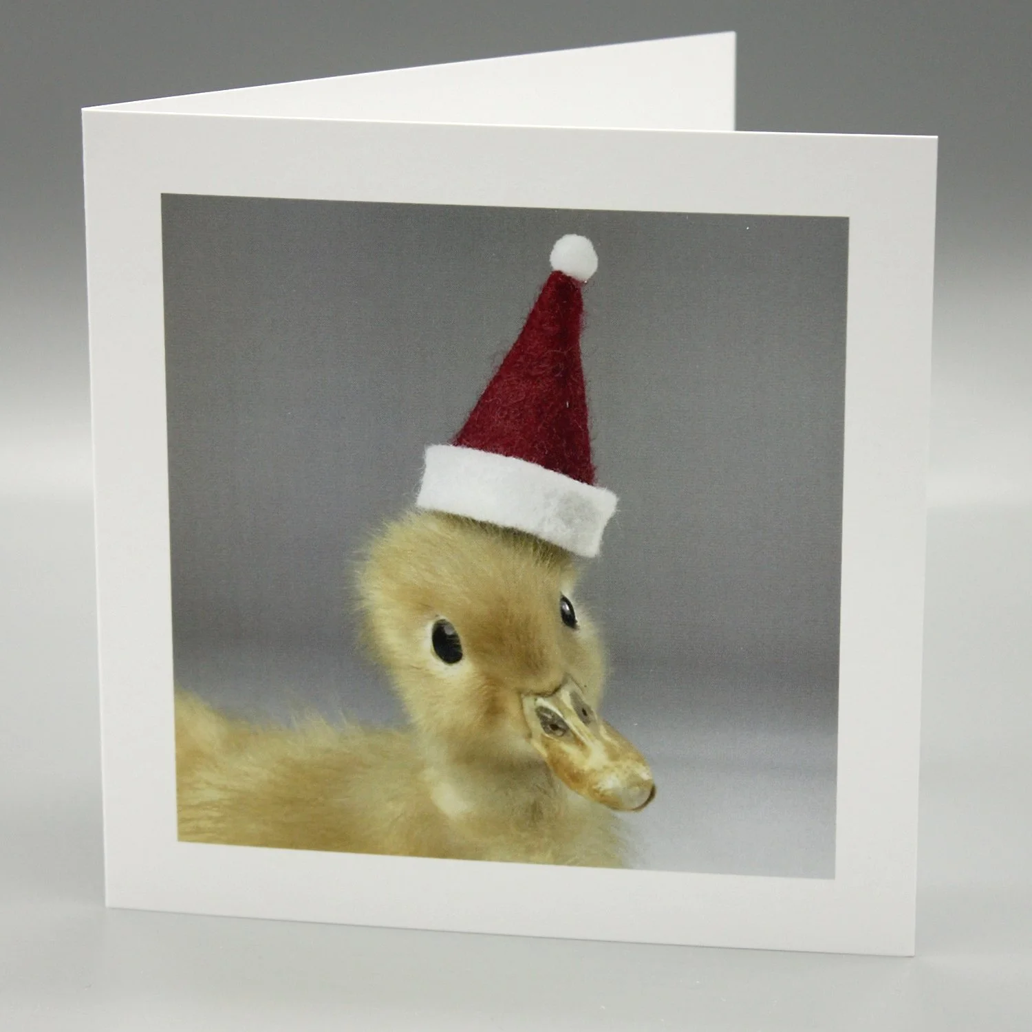 Christmas Duck