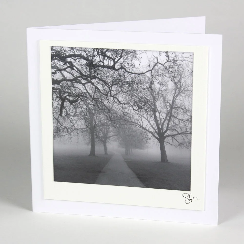 Misty Primrose Hill