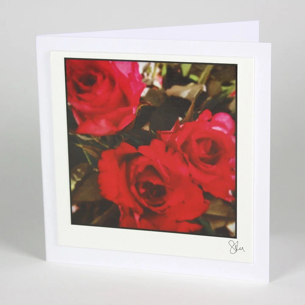 Three Red Roses