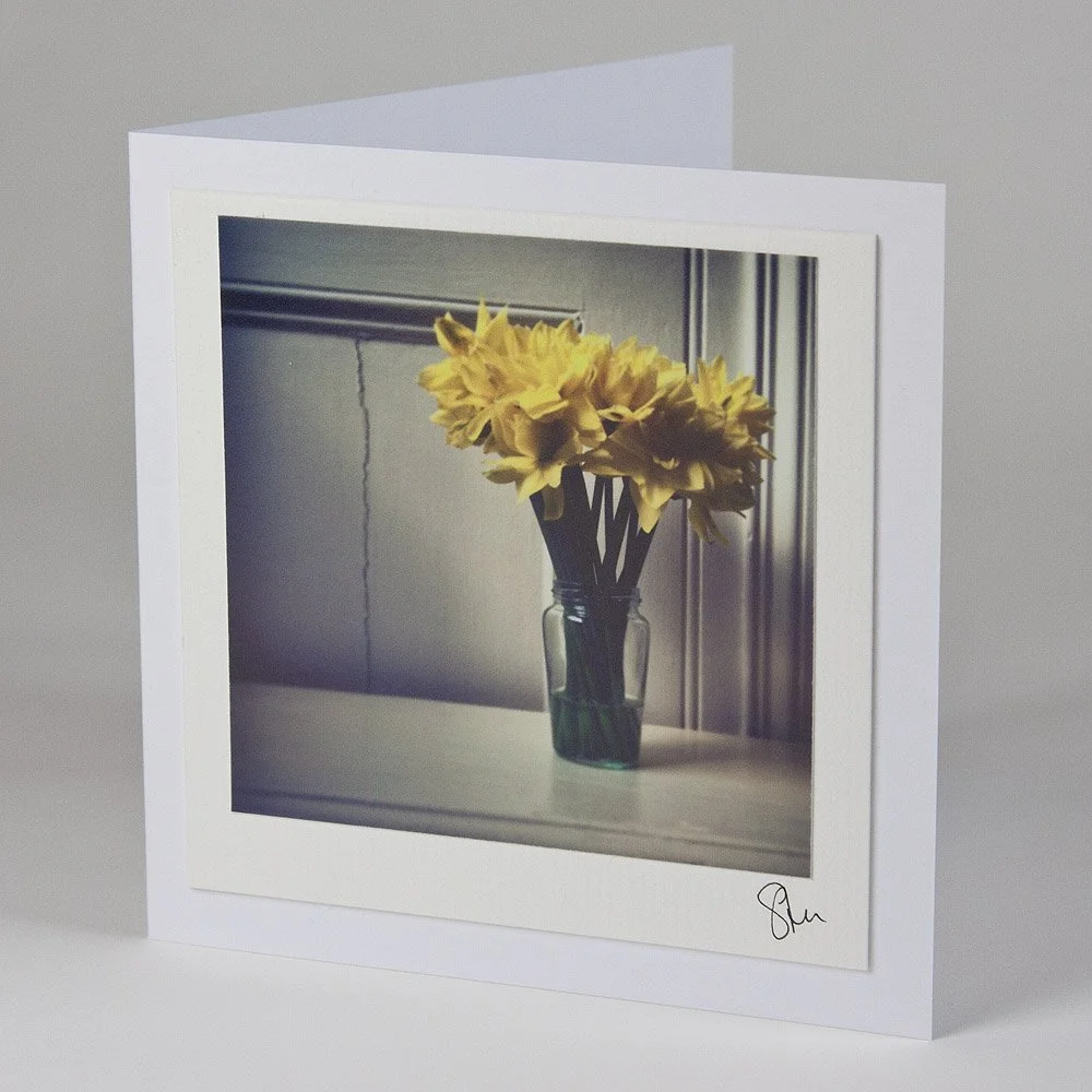 Daffodils