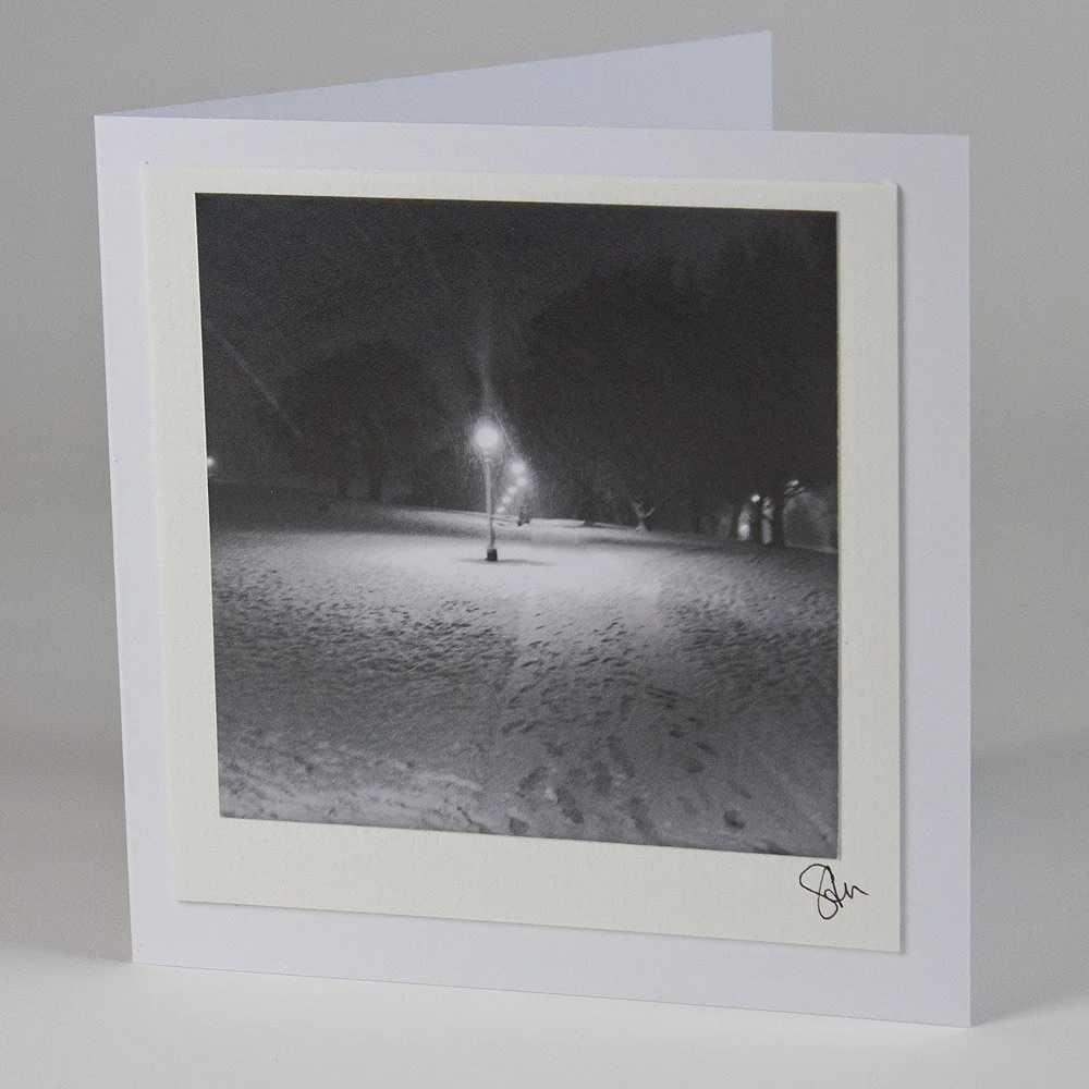 Snowy Primrose Hill