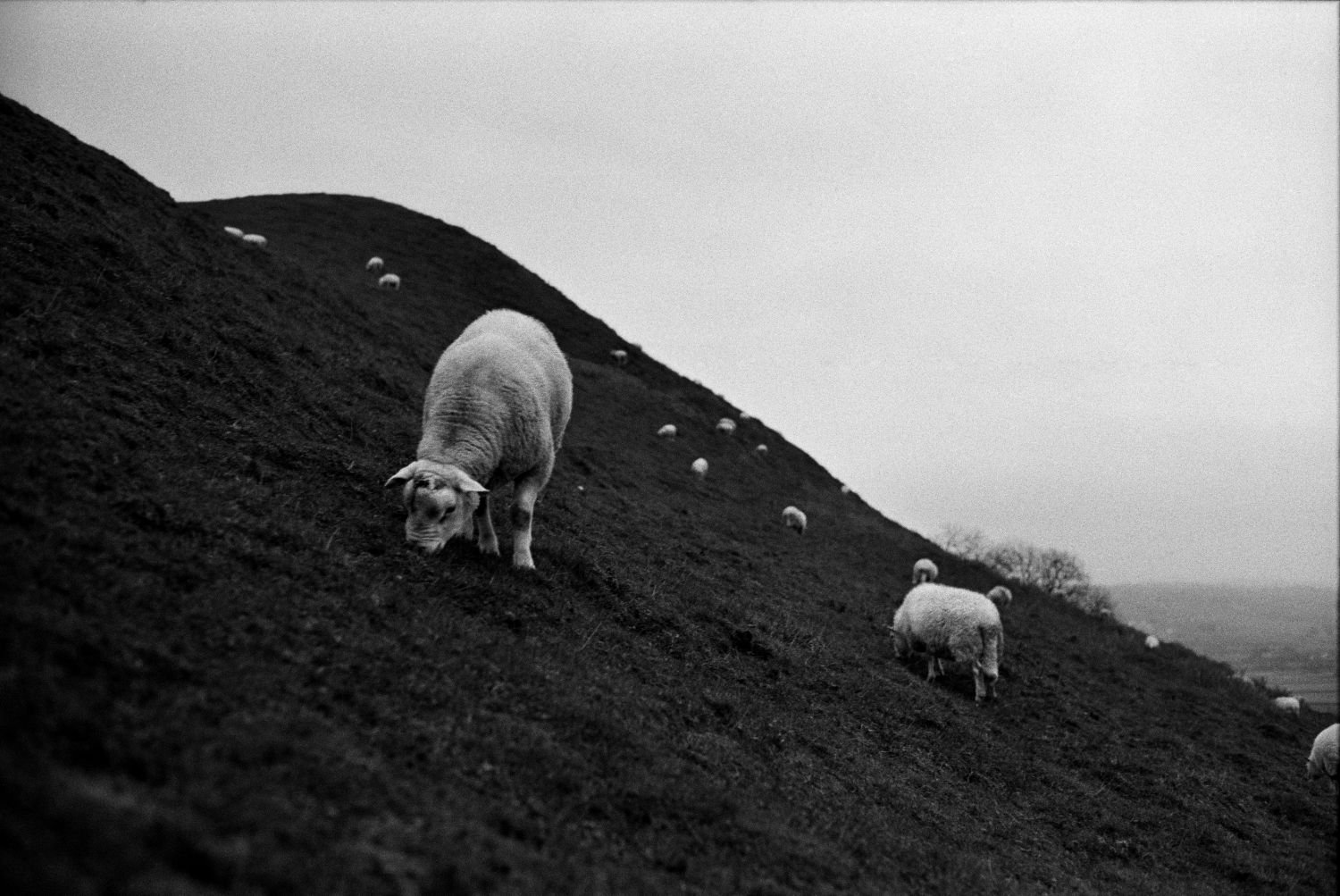 Glastonbury, UK