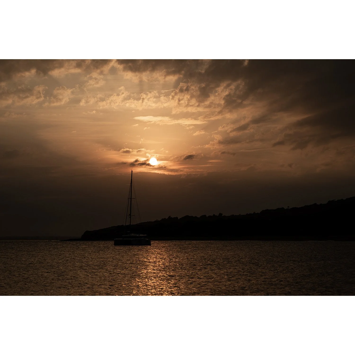 DSCF8611.jpg