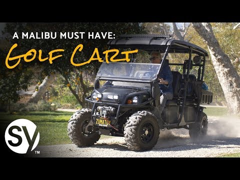 I Review My Malibu Golf Cart