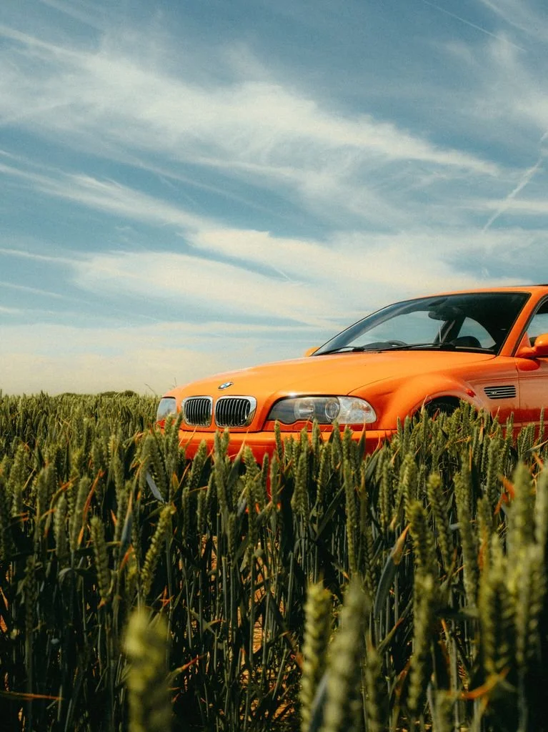 Fran Galac-Orange BMW-4.jpg