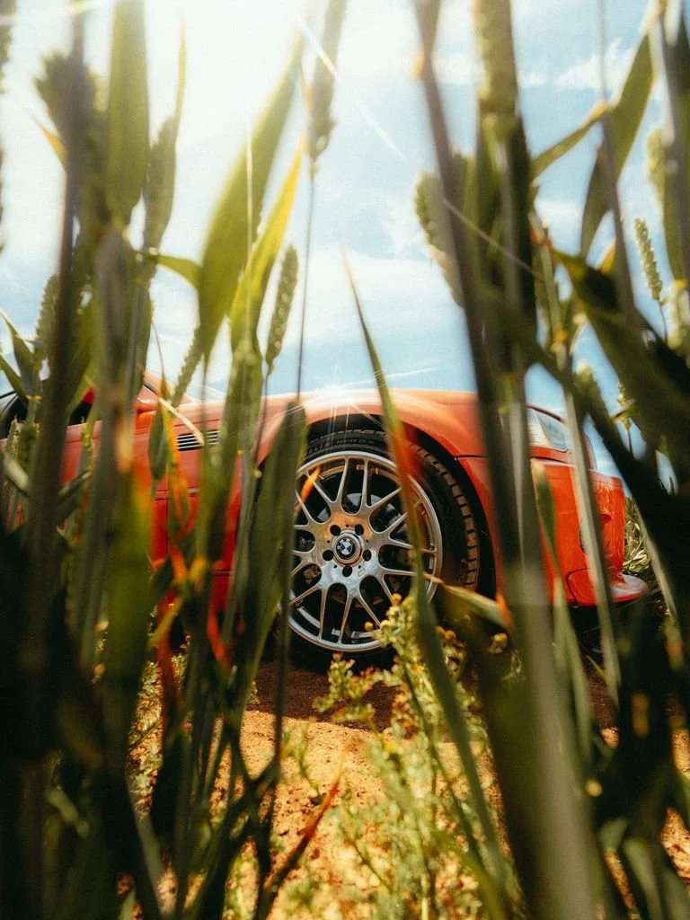 Fran Galac-Orange BMW-7.jpg