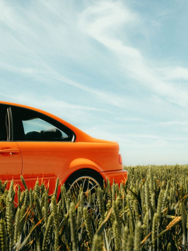 Fran Galac-Orange BMW.jpg