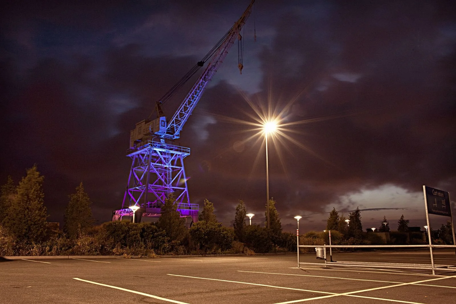crane-sacha-waldman.jpg