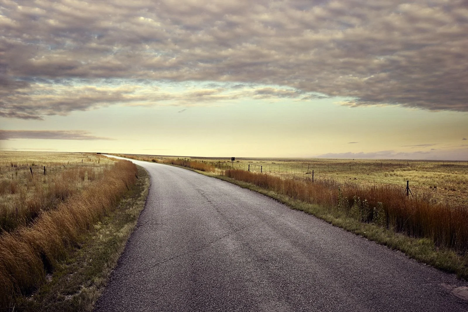 curvy-road-trip-sacha-waldman.jpg