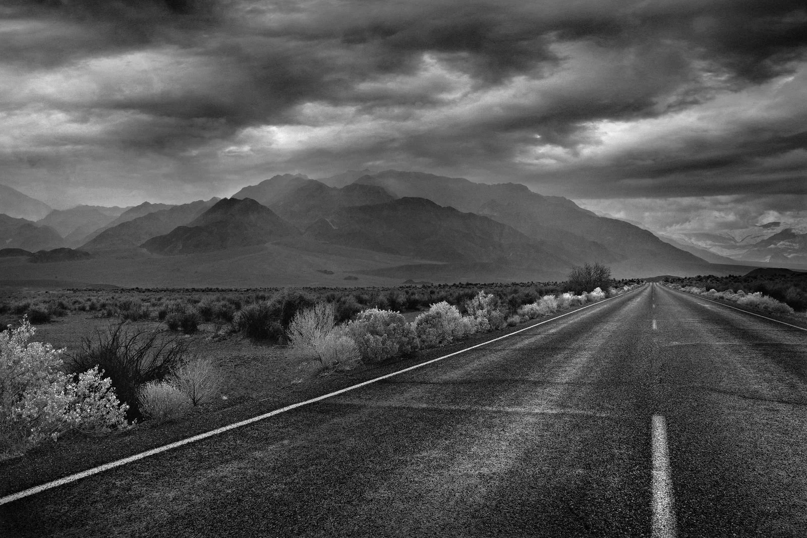 desert-highway-road-drive-sacha-waldman.jpg