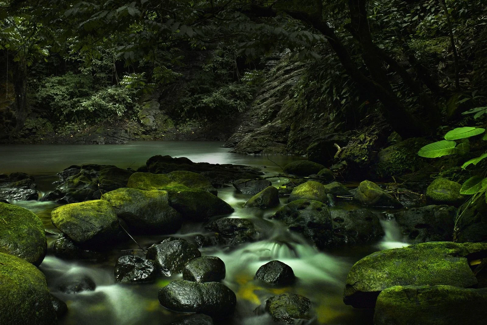 mystical-river-sacha-waldman.jpg