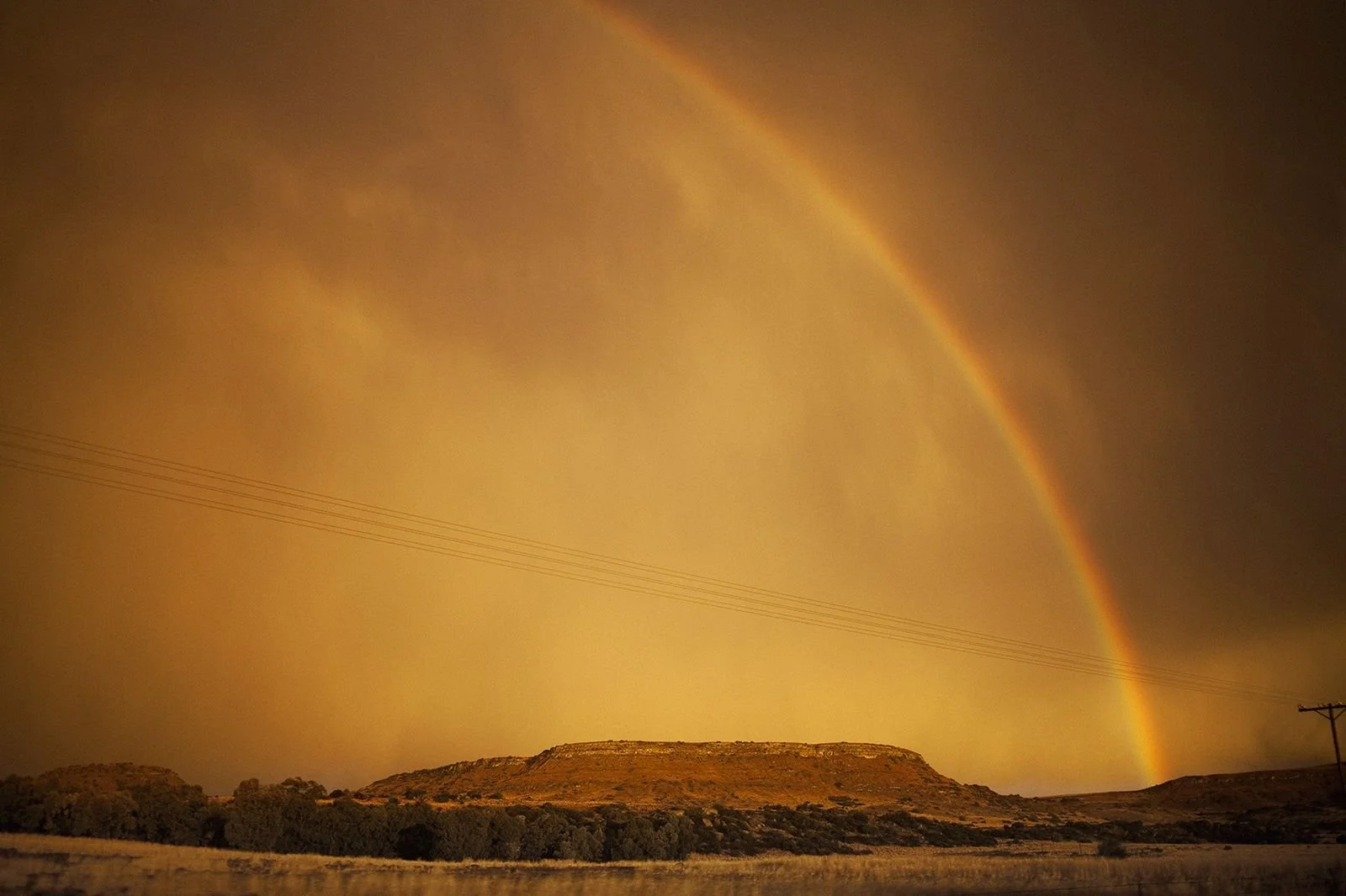 rainbow-landscape-sacha-waldman.jpg