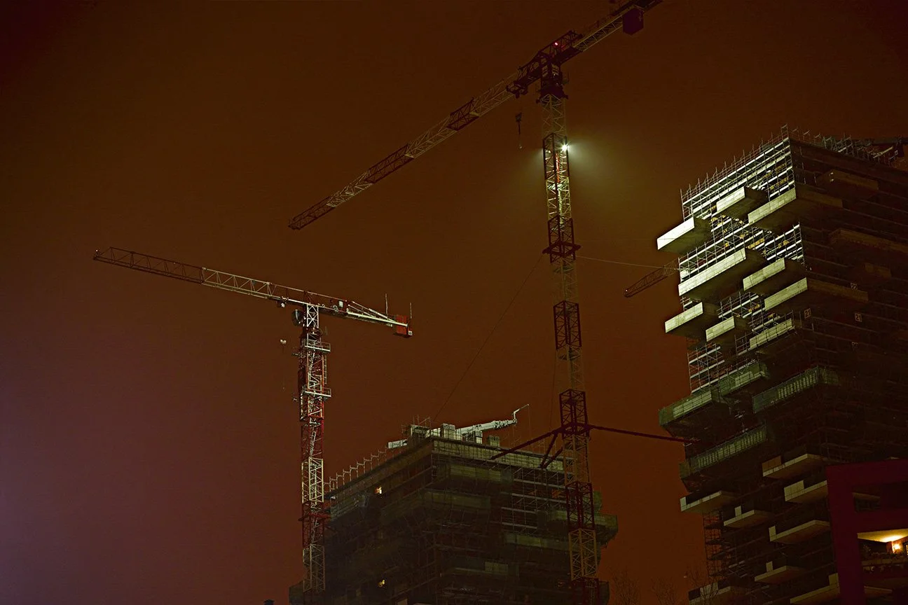 thai-cranes-night-sacha-waldman.jpg