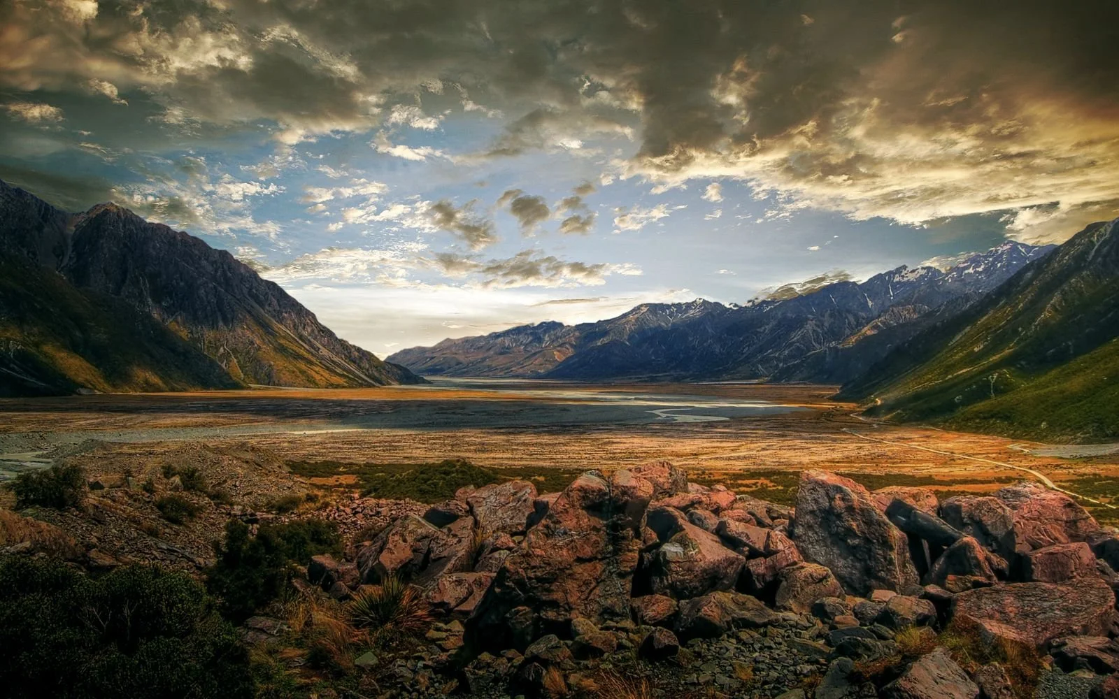 ColorScape_Sacha Waldman.jpg