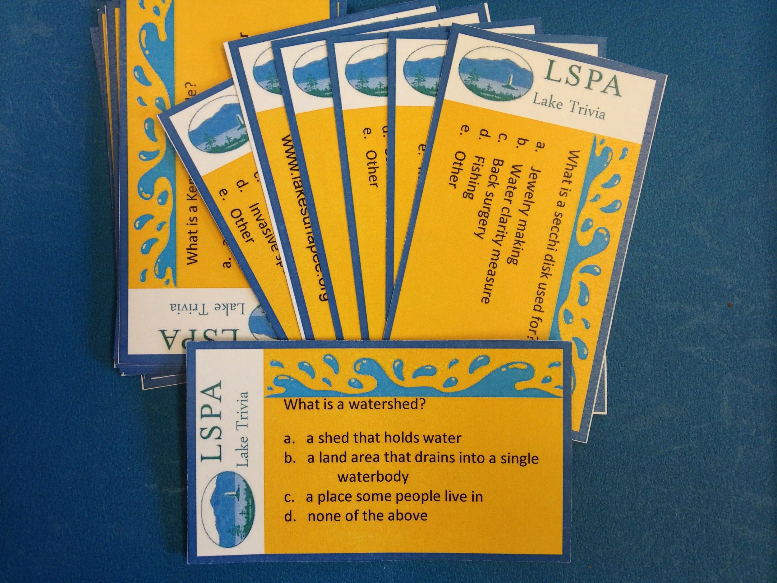 Lake Sunapee Trivia Cards Set of 48 cards $5.00 Cards $1.00 clear blue plastic card holder $5.00 wooden (walnut finish) card holder