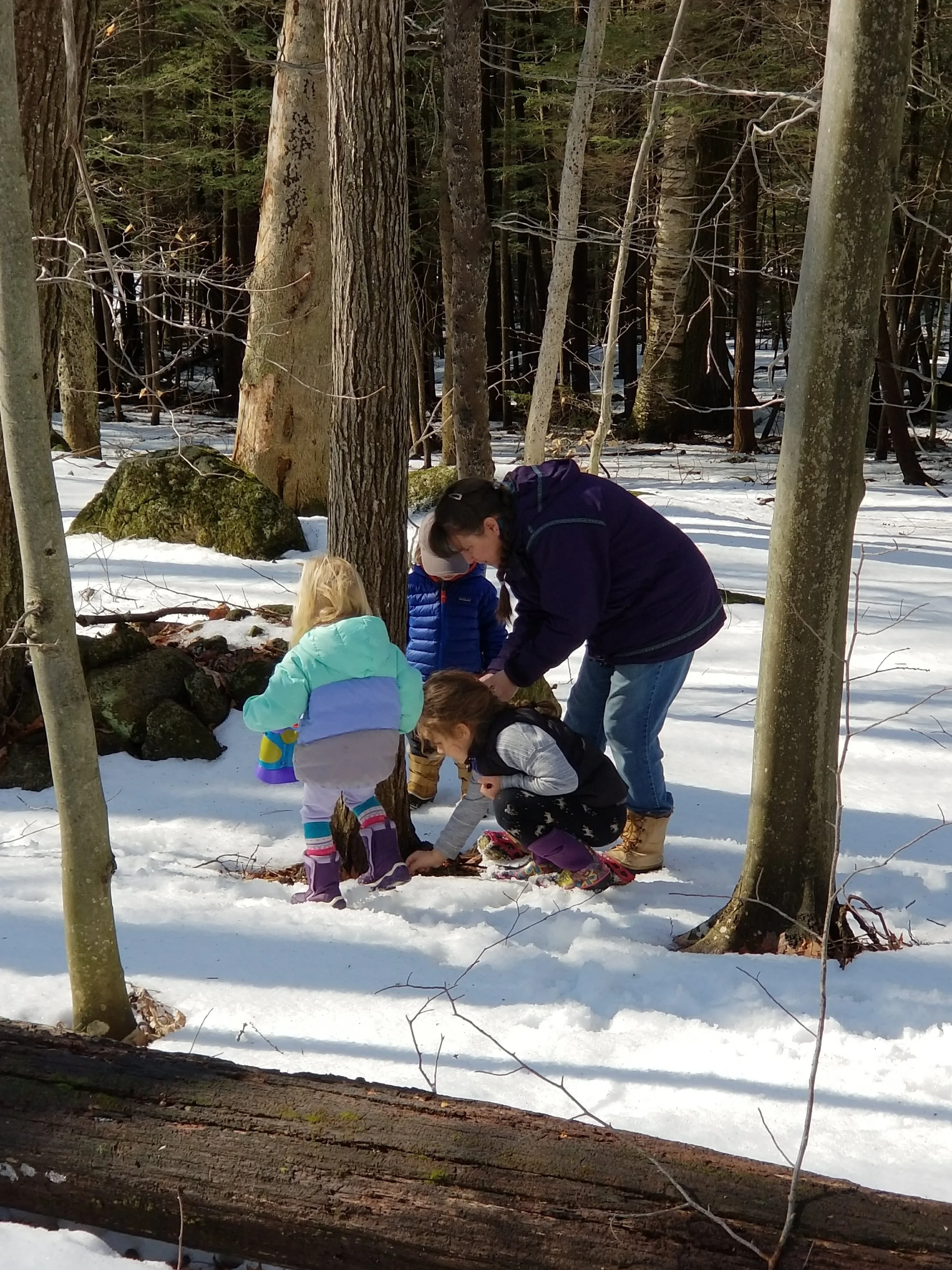 Nature Exploration Story Time (NEST) - Over and Under the Snow