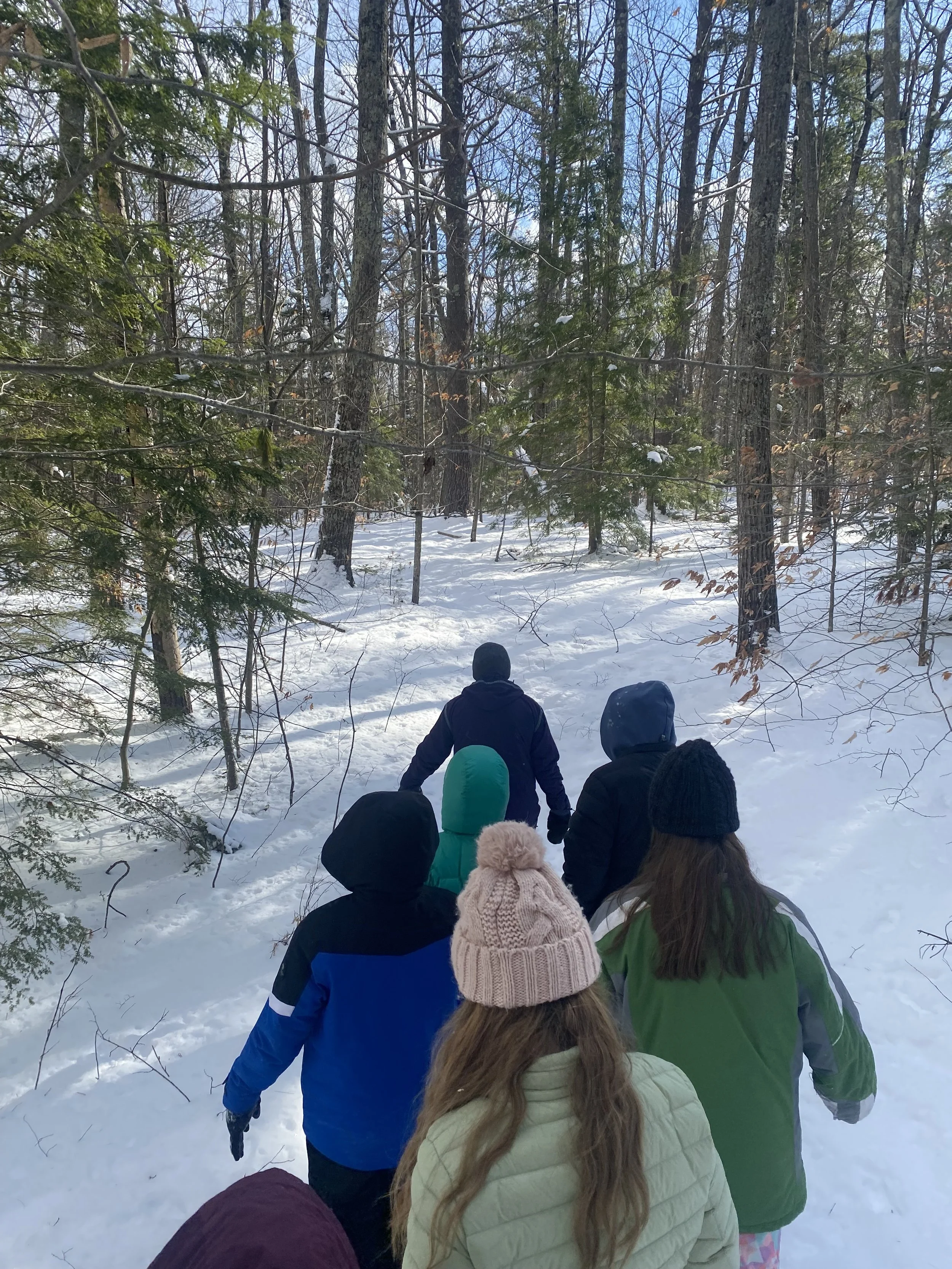 Winter Woods Wander for Families