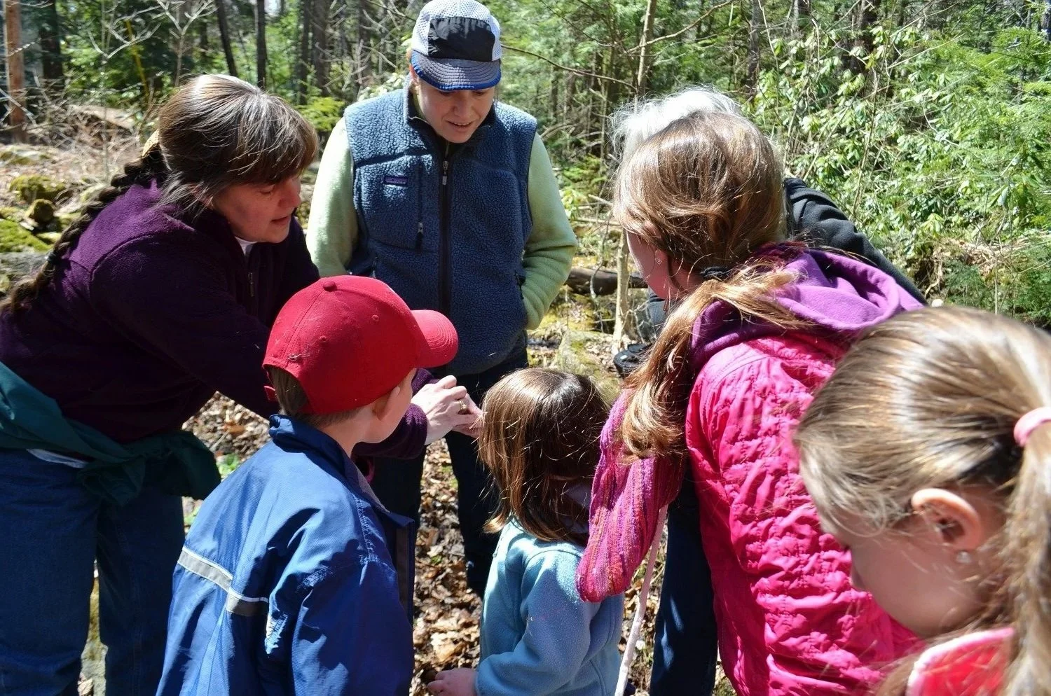 Frogs, Eggs &amp; Muddy Boots! A Vernal Pool Adventure Walk