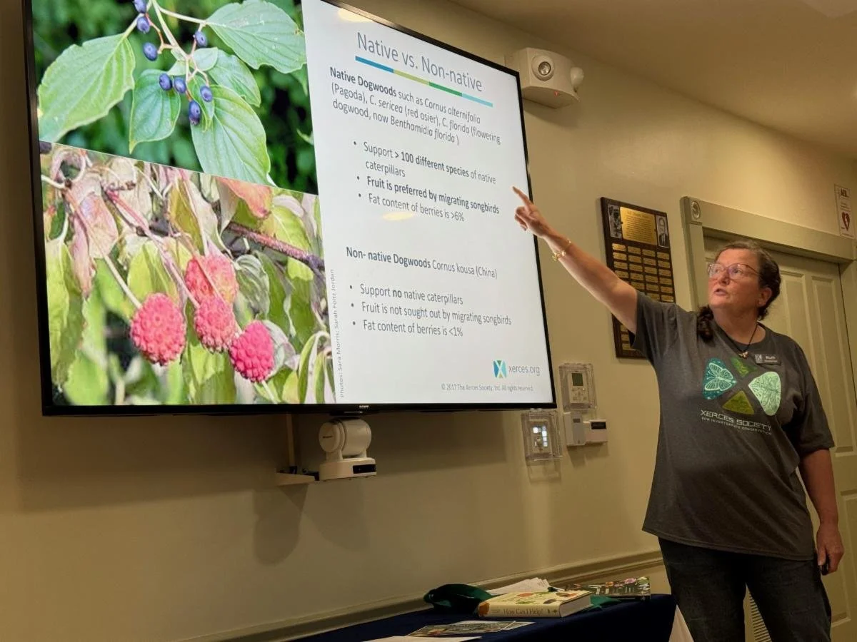 Bring Back the Pollinators!