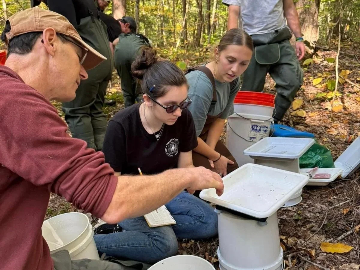 Fish in the Foodweb - Student Research Presentations
