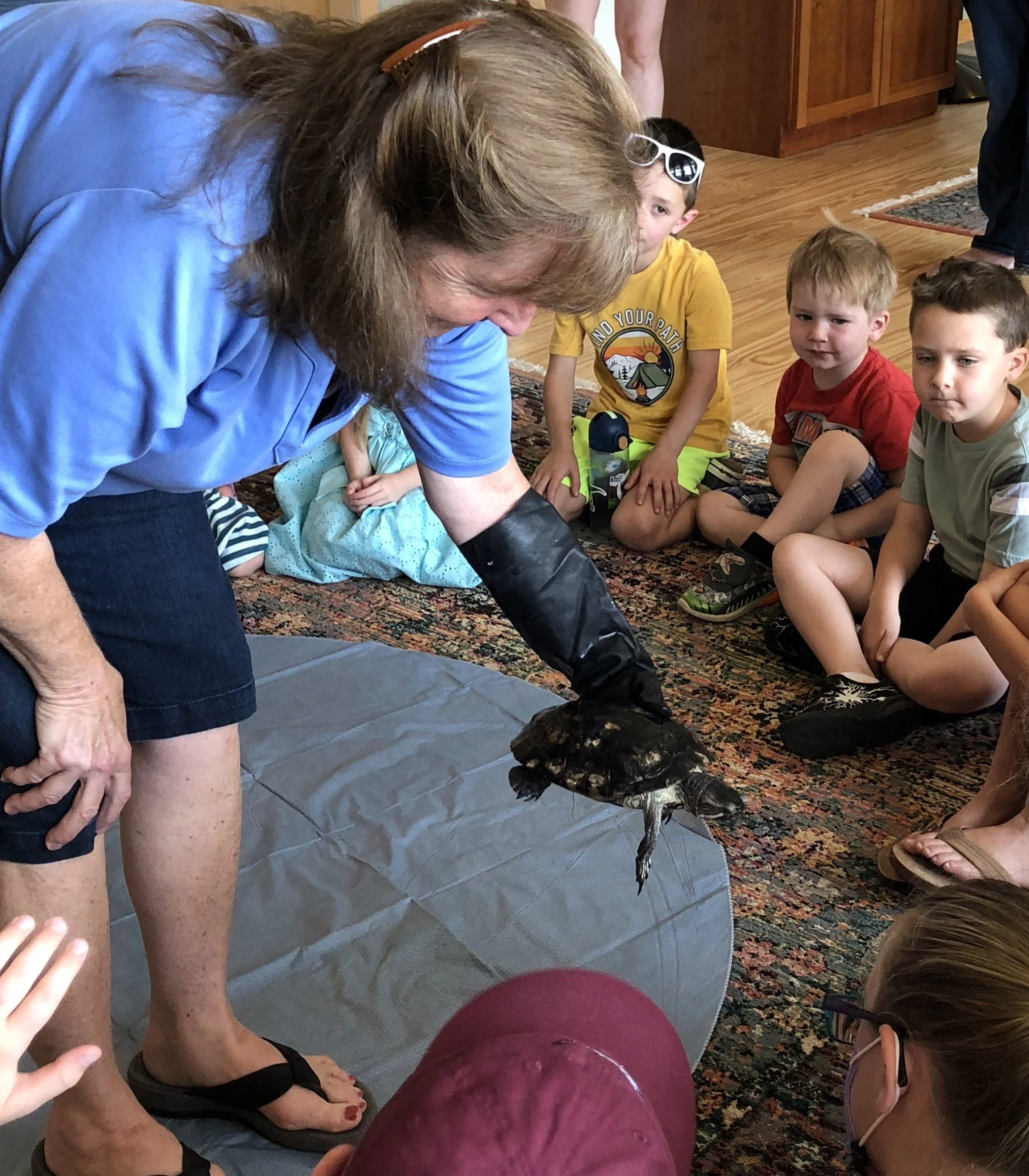 Nature Exploration Story Time (NEST) - Terrific Turtles