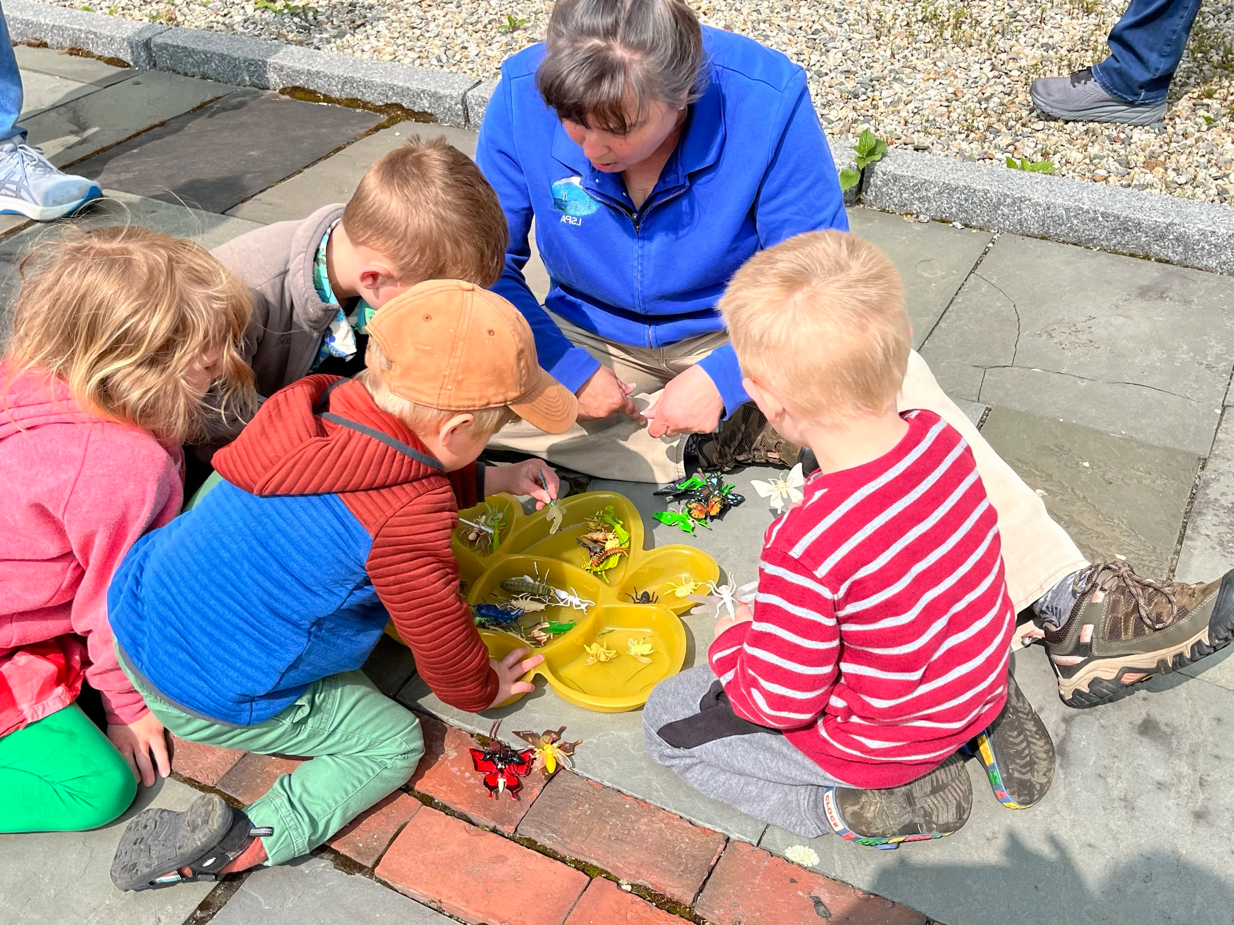Nature Exploration Story Time (NEST) - Bugs, Bugs, Bugs