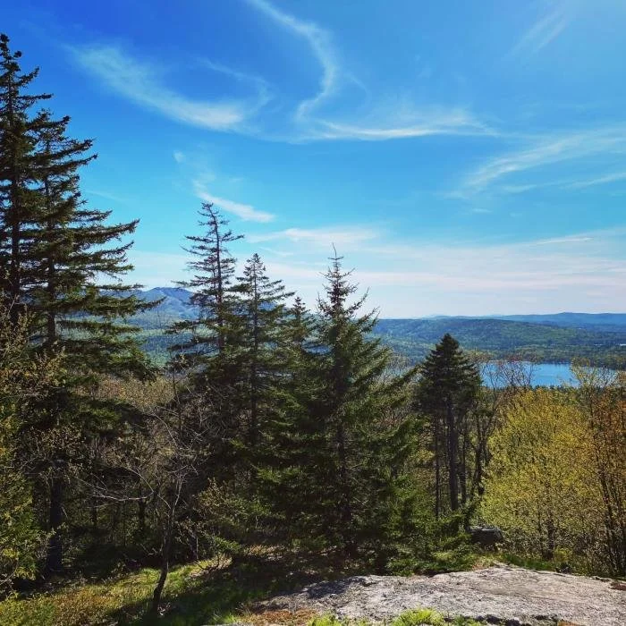 New Hampshire Forests – Past, Present and Future: 125 years Protecting NH Landscapes and Landmarks